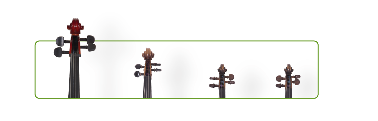 String quartet violins viola cello
